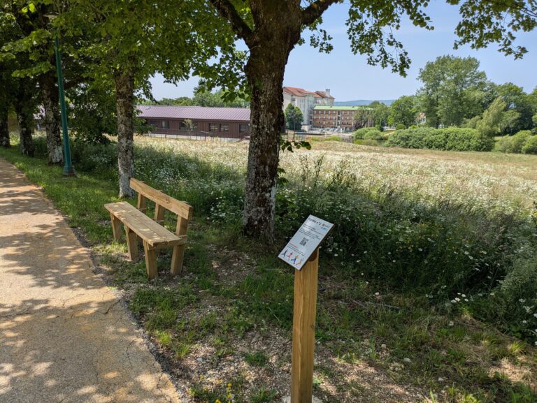 2025.06.12_Parcours de santé CHPH (2)